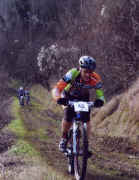 de nadai - borgo dario 21.1.10.jpg (523323 byte)